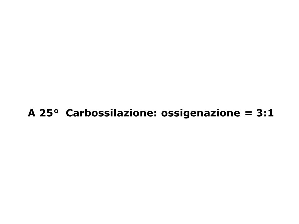A 25° Carbossilazione: ossigenazione = 3:1