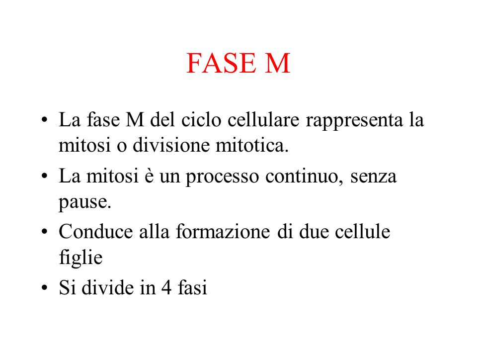 FASE M La fase M del ciclo cellulare rappresenta la mitosi o divisione mitotica. La mitosi è un processo continuo, senza pause.