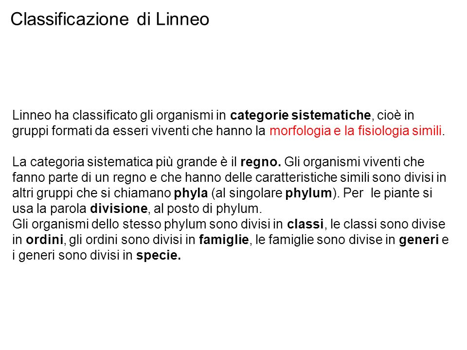 Classificazione di Linneo