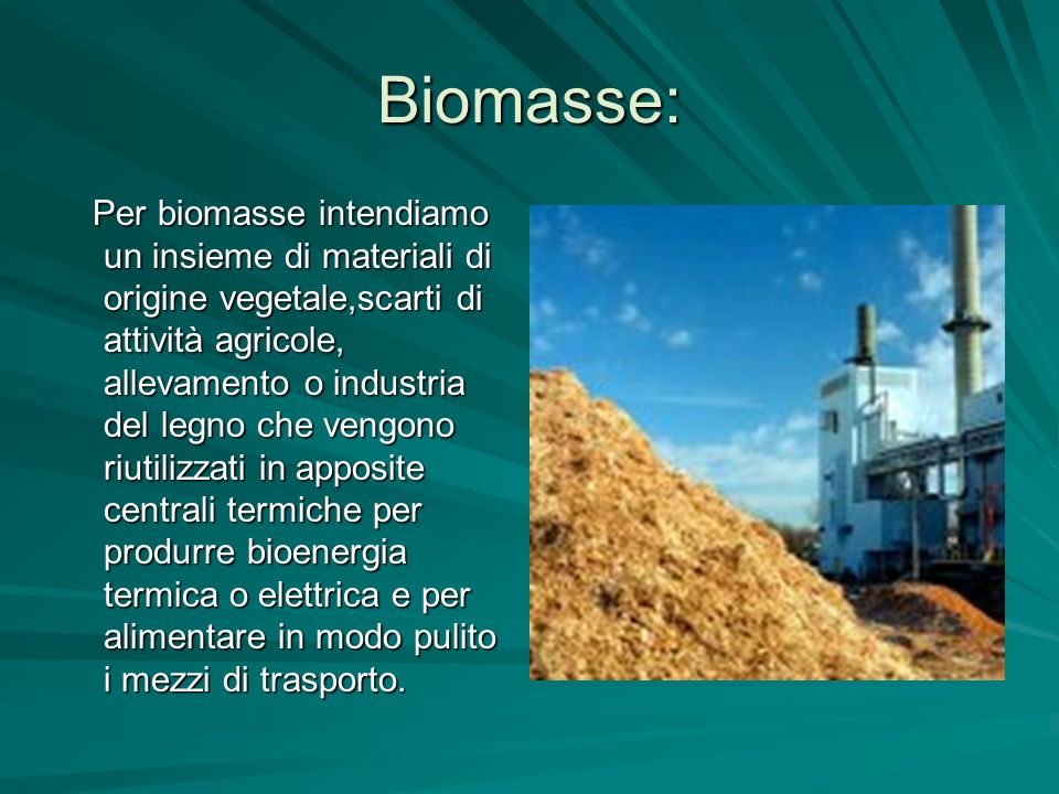 Biomasse:
