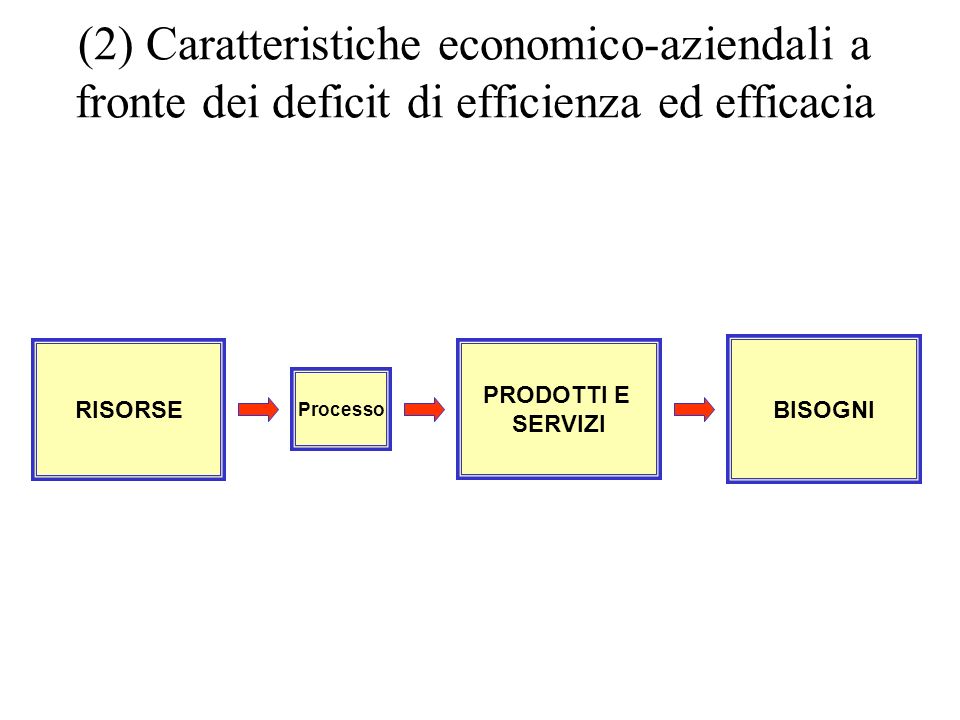 (2) Caratteristiche economico-aziendali a fronte dei deficit di efficienza ed efficacia