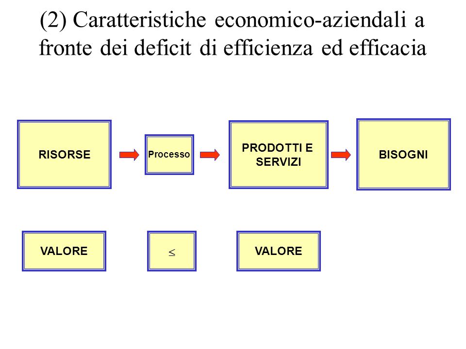 (2) Caratteristiche economico-aziendali a fronte dei deficit di efficienza ed efficacia