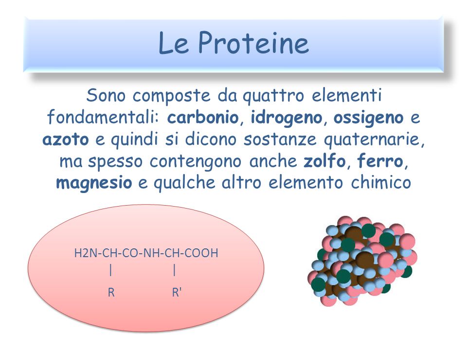 Le Proteine