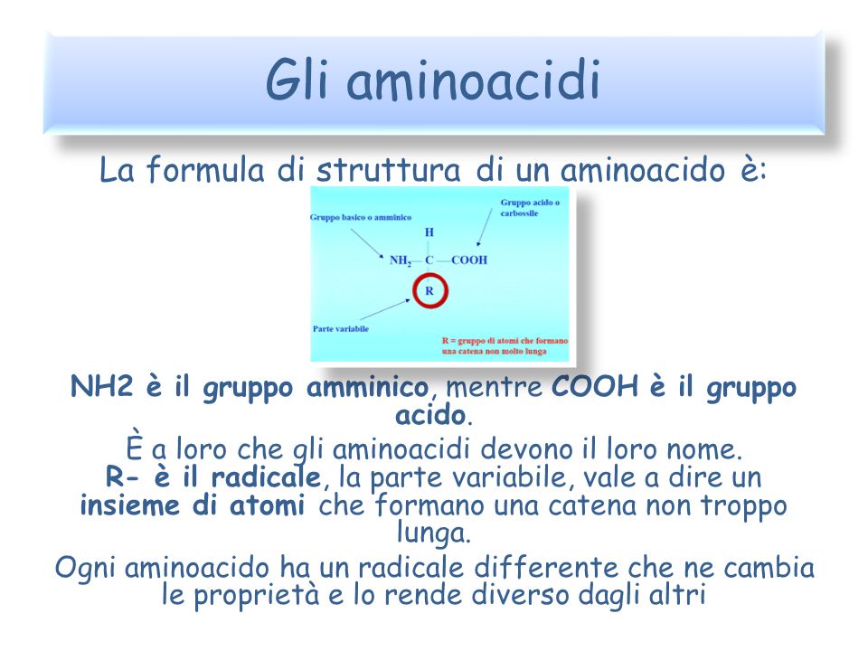 Gli aminoacidi La formula di struttura di un aminoacido è: