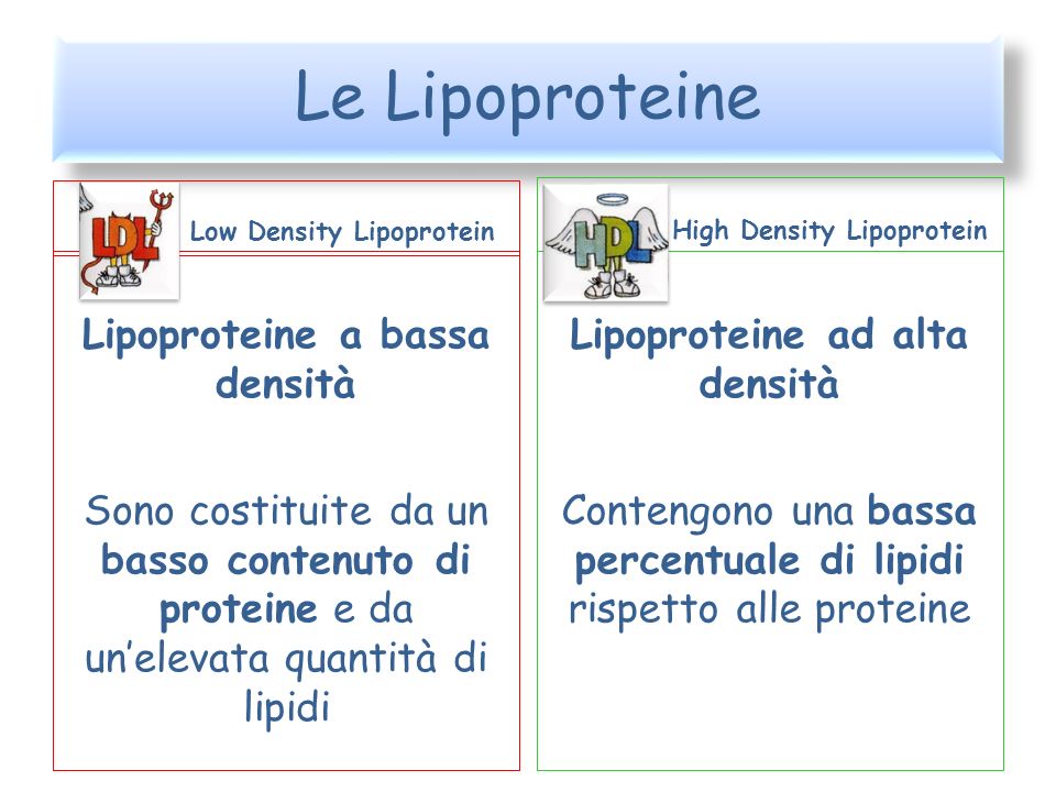 Lipoproteine a bassa densità