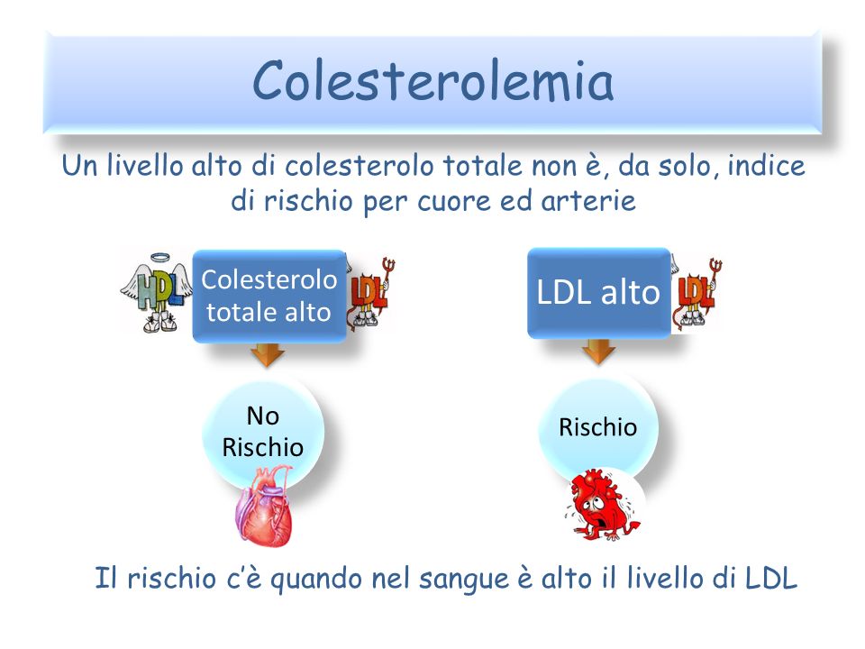 Colesterolemia Un livello alto di colesterolo totale non è, da solo, indice di rischio per cuore ed arterie.