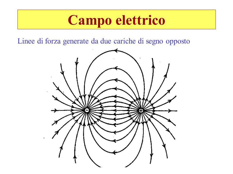 Campo elettrico Linee di forza generate da due cariche di segno opposto