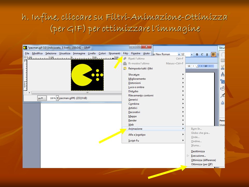 h. Infine, cliccare su Filtri-Animazione-Ottimizza (per GIF) per ottimizzare l’immagine