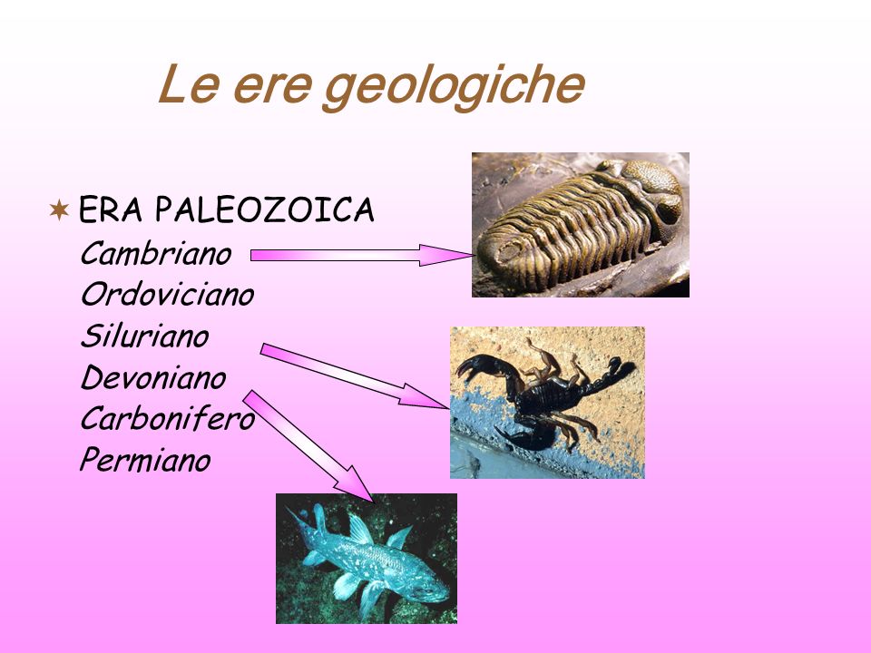 Le ere geologiche ERA PALEOZOICA Cambriano Ordoviciano Siluriano
