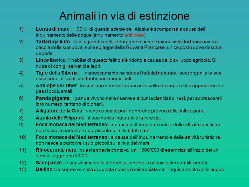 Animali in via di estinzione