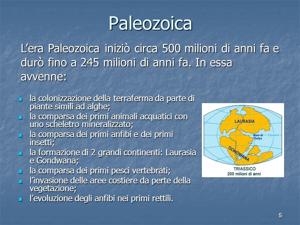Paleozoica L’era Paleozoica iniziò circa 500 milioni di anni fa e durò fino a 245 milioni di anni fa. In essa avvenne: