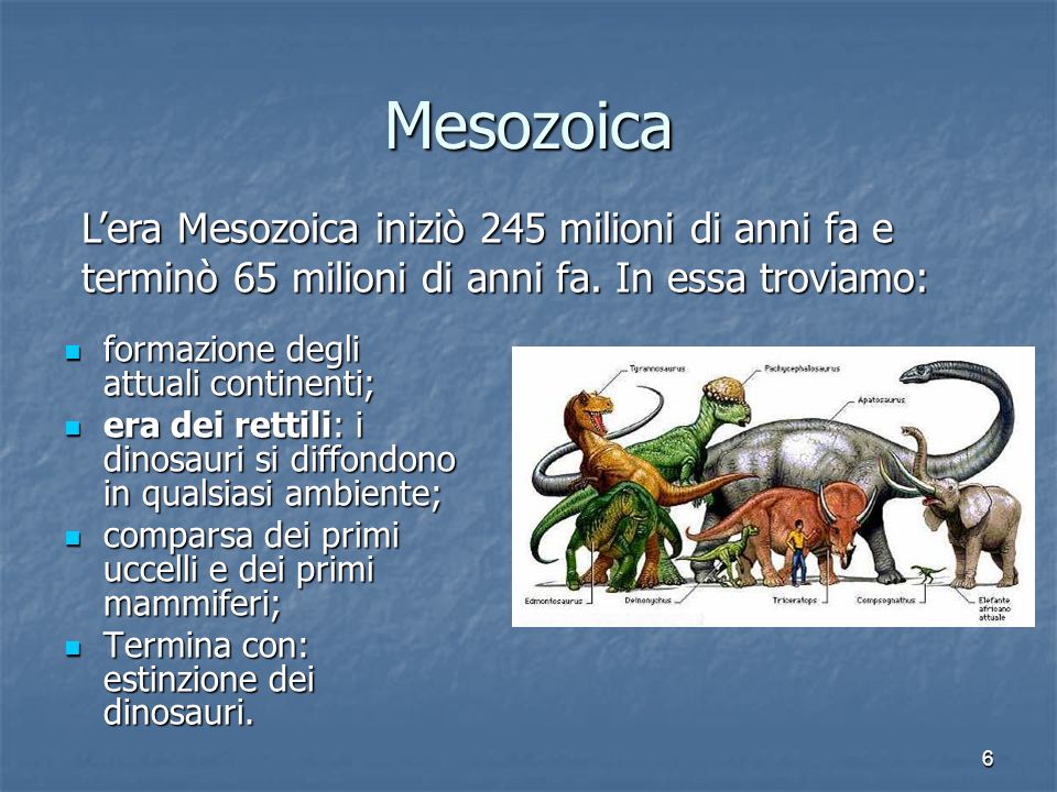 Mesozoica L’era Mesozoica iniziò 245 milioni di anni fa e terminò 65 milioni di anni fa. In essa troviamo: