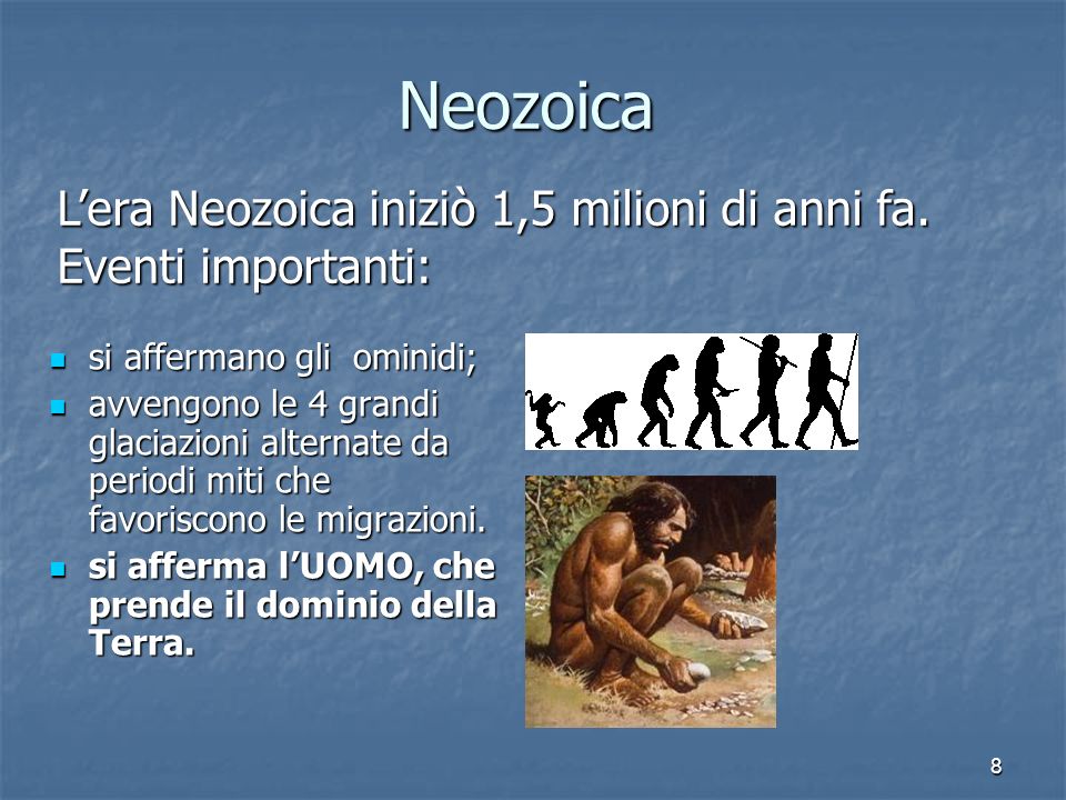 Neozoica L’era Neozoica iniziò 1,5 milioni di anni fa. Eventi importanti: si affermano gli ominidi;