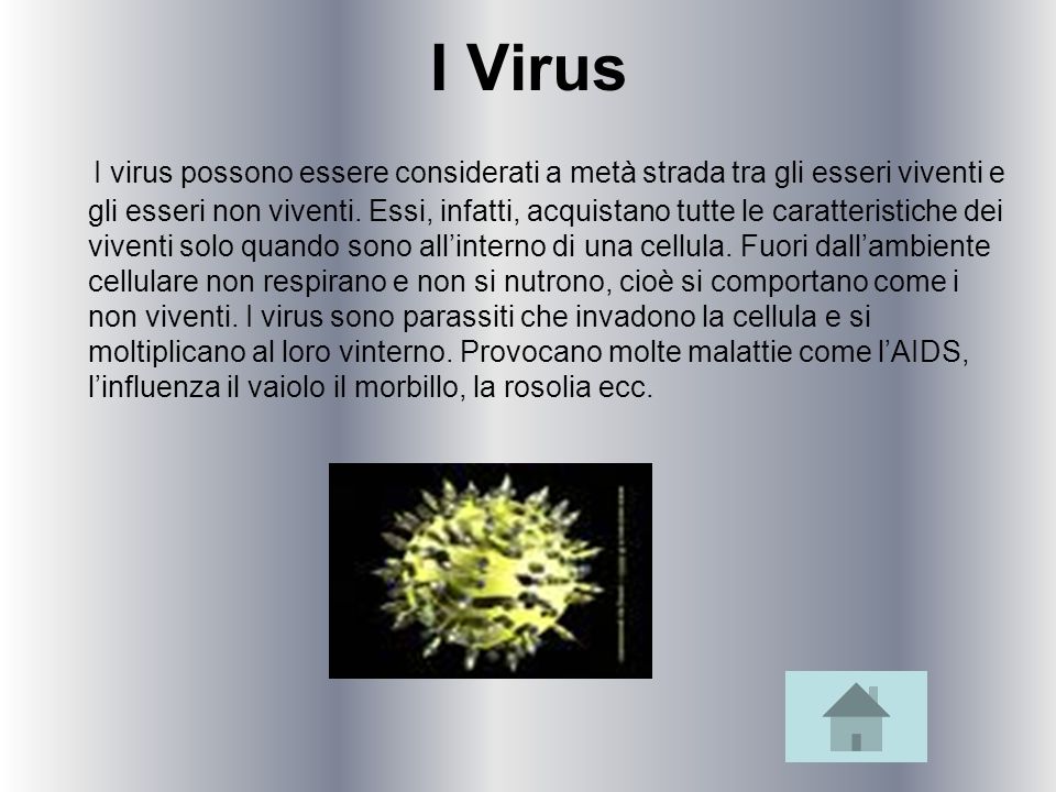 I Virus