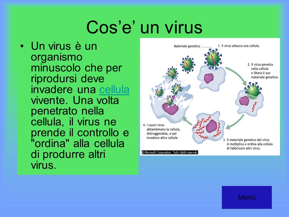Cos’e’ un virus