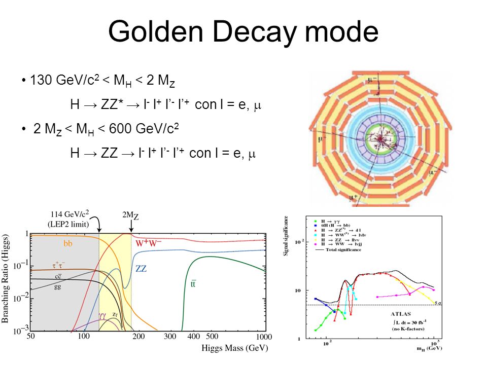 Golden Decay mode 130 GeV/c2 < MH < 2 MZ