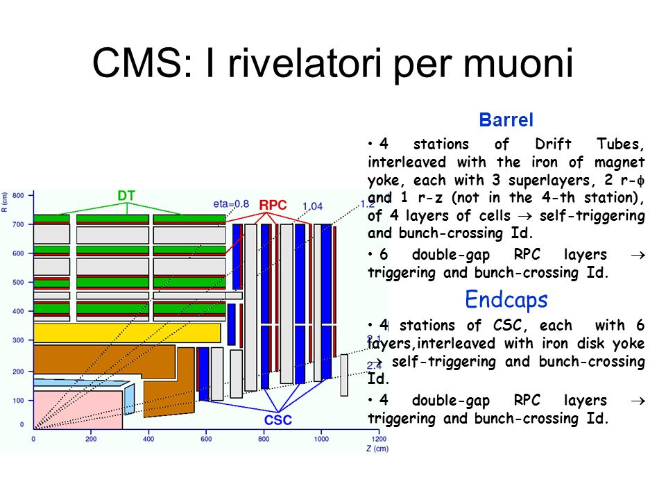 CMS: I rivelatori per muoni