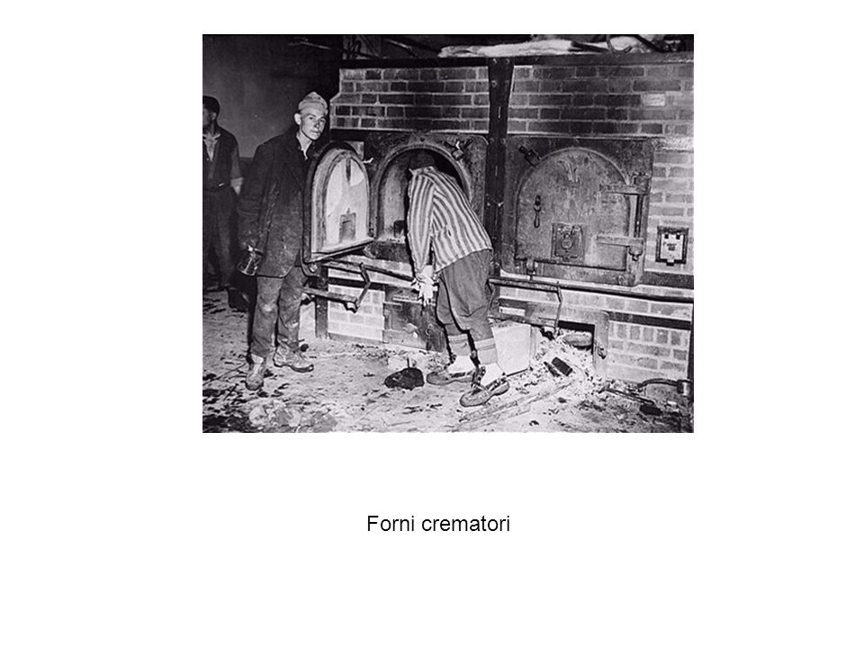 Forni crematori