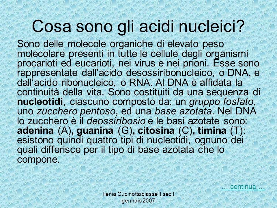 Cosa sono gli acidi nucleici