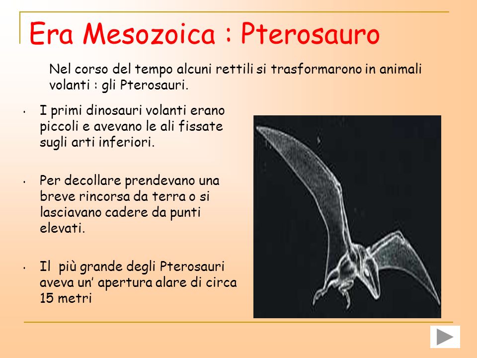 Era Mesozoica : Pterosauro