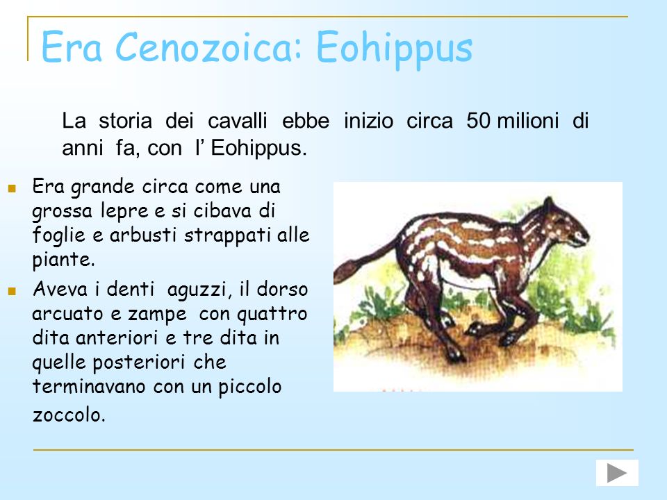 Era Cenozoica: Eohippus