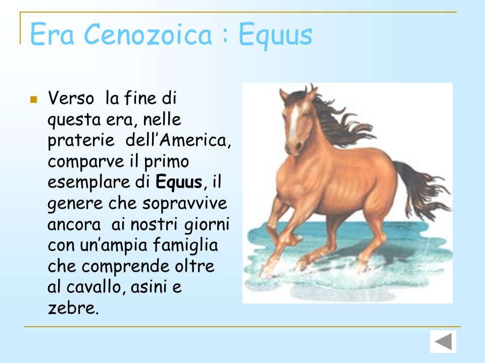 Era Cenozoica : Equus
