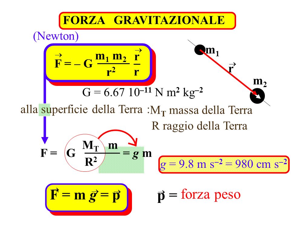 F = m g = p forza peso p = FORZA GRAVITAZIONALE (Newton) m1 m1 m2 r