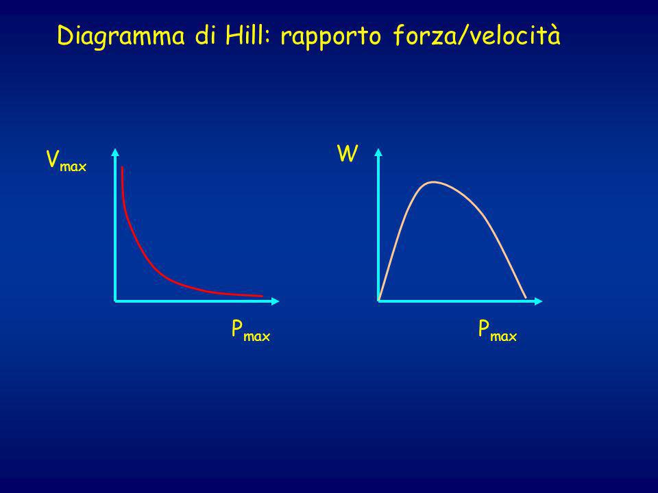 Diagramma di Hill: rapporto forza/velocità