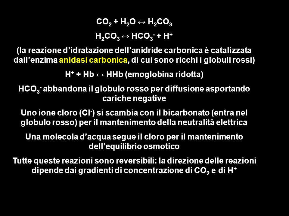 H+ + Hb ↔ HHb (emoglobina ridotta)