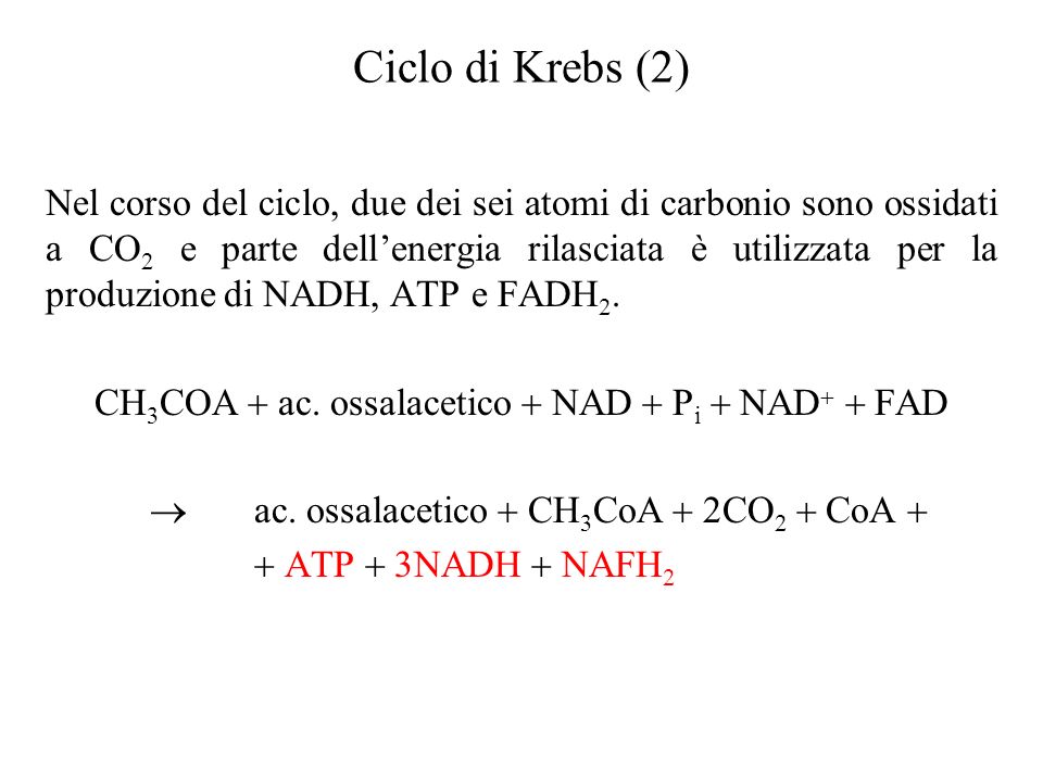 CH3COA  ac. ossalacetico  NAD  Pi  NAD  FAD