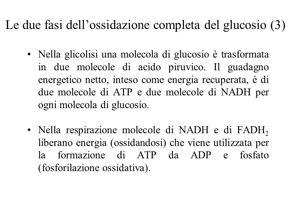 Le due fasi dell’ossidazione completa del glucosio (3)