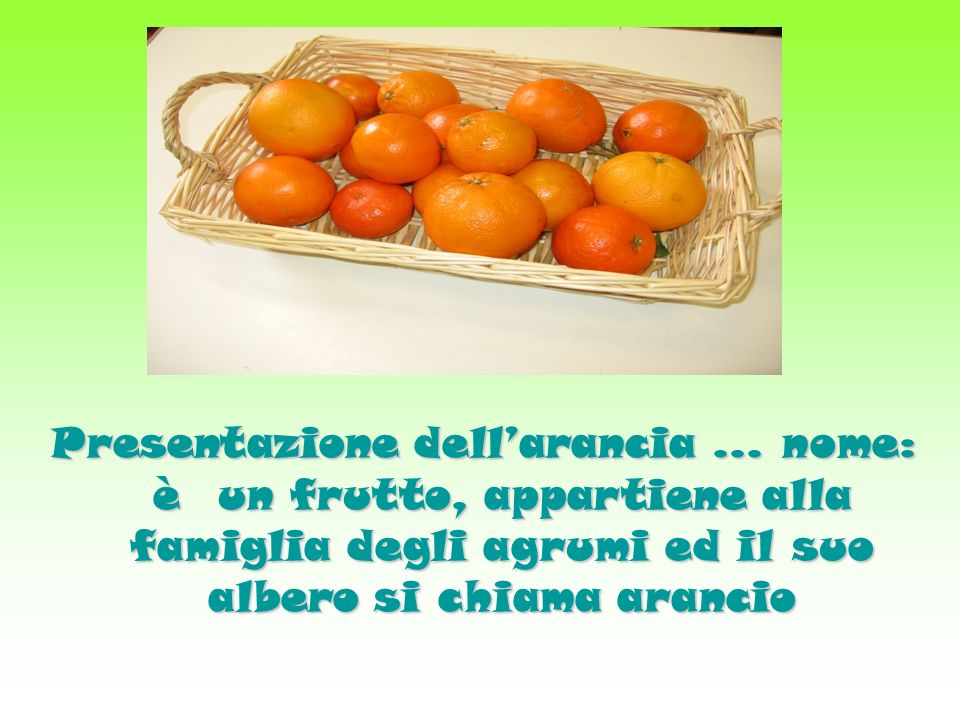 Presentazione dell’arancia … nome: è un frutto, appartiene alla famiglia degli agrumi ed il suo albero si chiama arancio