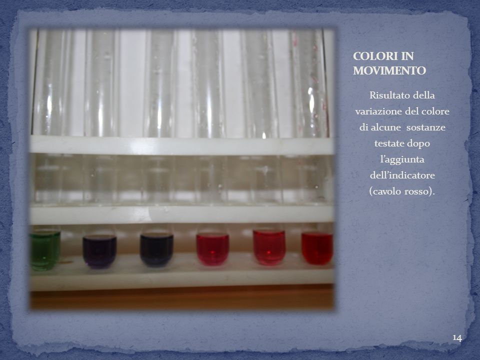 COLORI IN MOVIMENTO Risultato della variazione del colore di alcune sostanze testate dopo l’aggiunta dell’indicatore (cavolo rosso).