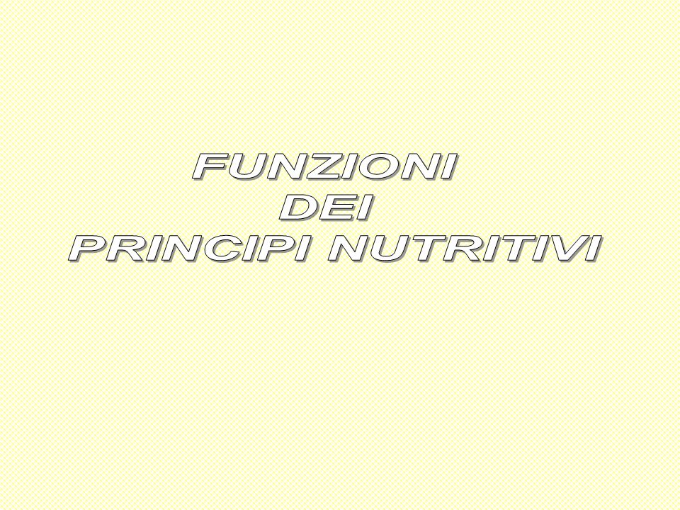FUNZIONI DEI PRINCIPI NUTRITIVI