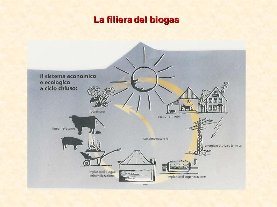 La filiera del biogas