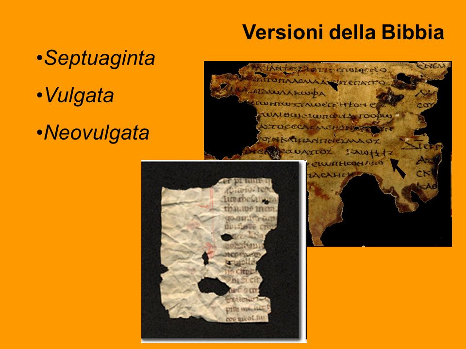 Versioni della Bibbia Septuaginta Vulgata Neovulgata