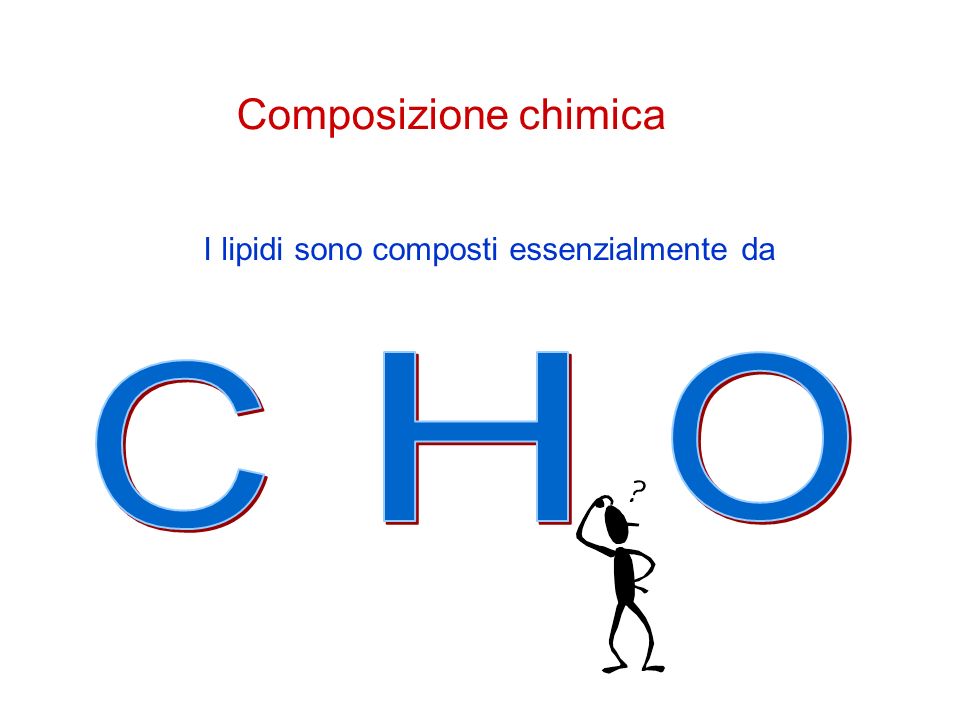 Composizione chimica I lipidi sono composti essenzialmente da H O C