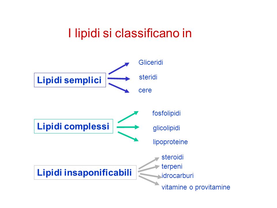 I lipidi si classificano in
