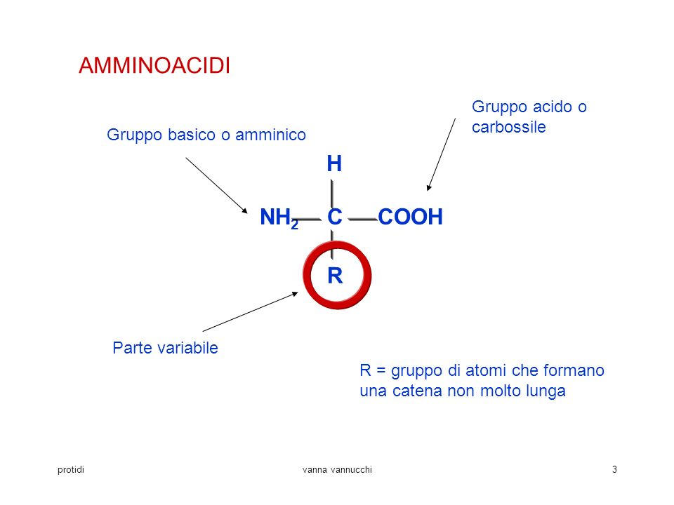 AMMINOACIDI COOH H NH2 C R Gruppo acido o carbossile