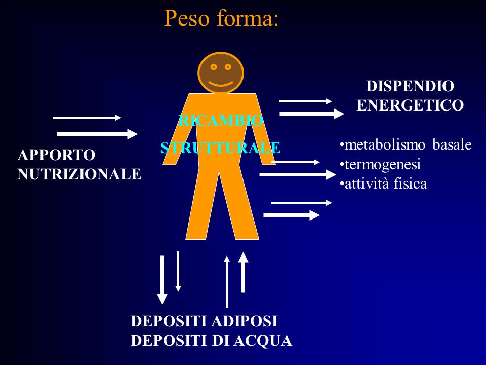 Peso forma: DISPENDIO ENERGETICO metabolismo basale RICAMBIO
