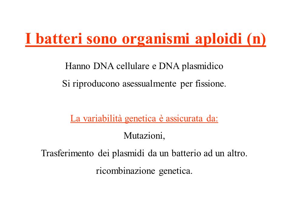 I batteri sono organismi aploidi (n)