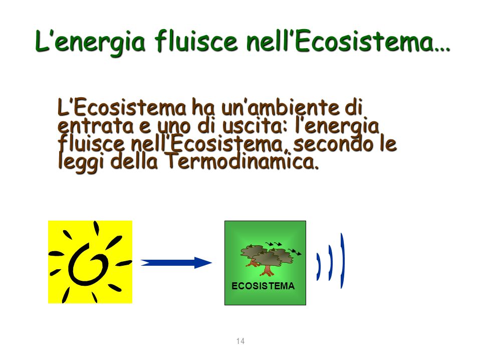 L’energia fluisce nell’Ecosistema…