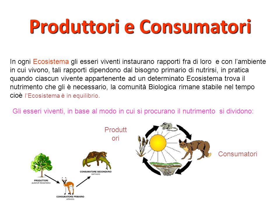 Produttori e Consumatori