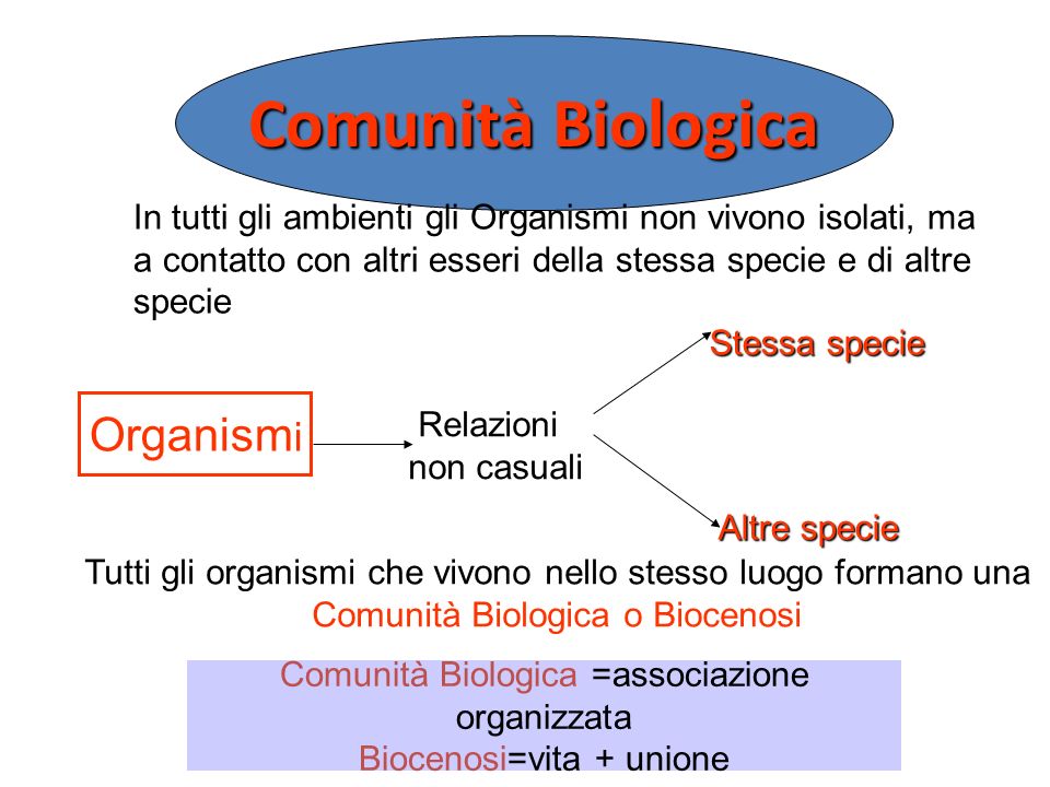 Comunità Biologica =associazione organizzata Biocenosi=vita + unione