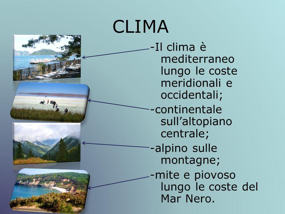 CLIMA -Il clima è mediterraneo lungo le coste meridionali e occidentali; -continentale sull’altopiano centrale;