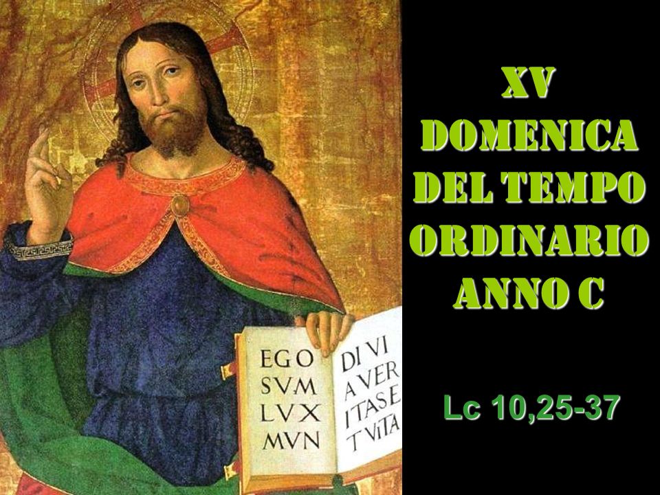 XV DOMENICA DEL TEMPO ORDINARIO ANNO C