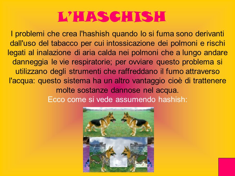 Ecco come si vede assumendo hashish: