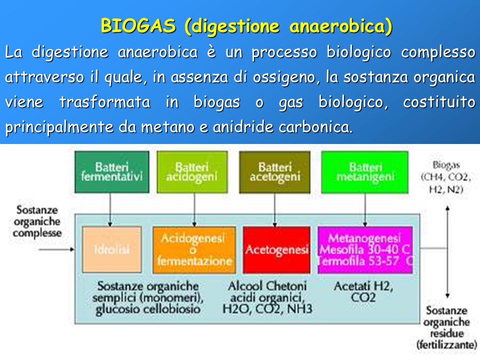 BIOGAS (digestione anaerobica)