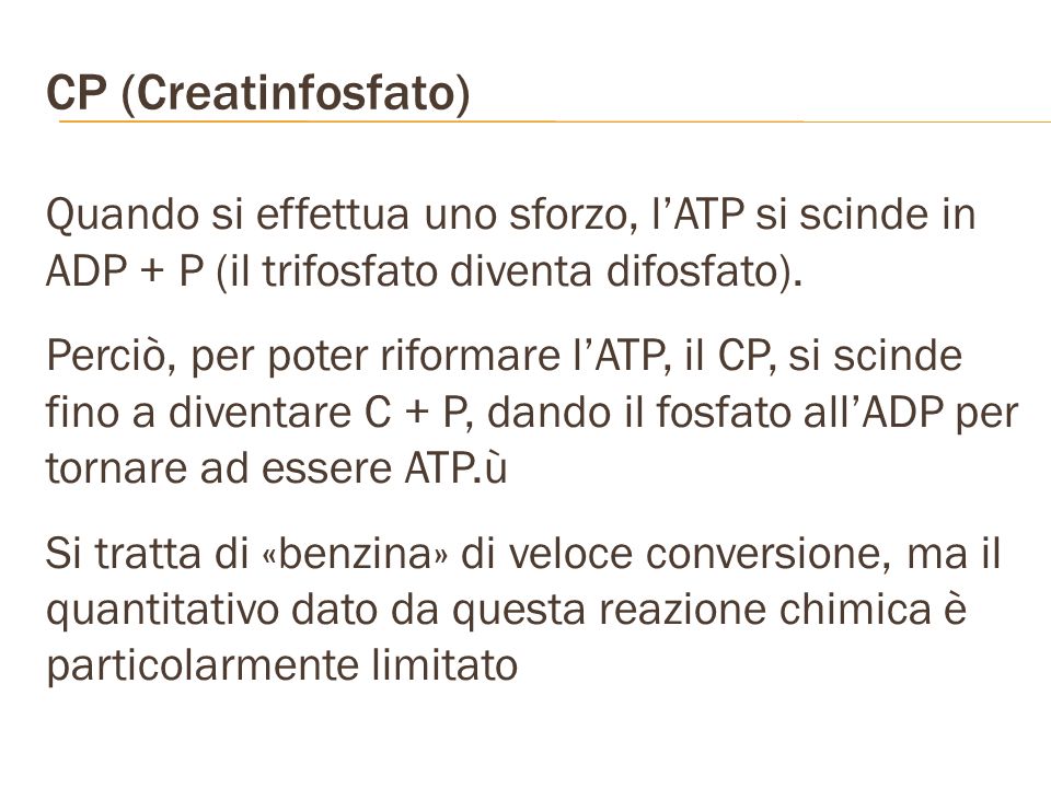 CP (Creatinfosfato) Quando si effettua uno sforzo, l’ATP si scinde in ADP + P (il trifosfato diventa difosfato).