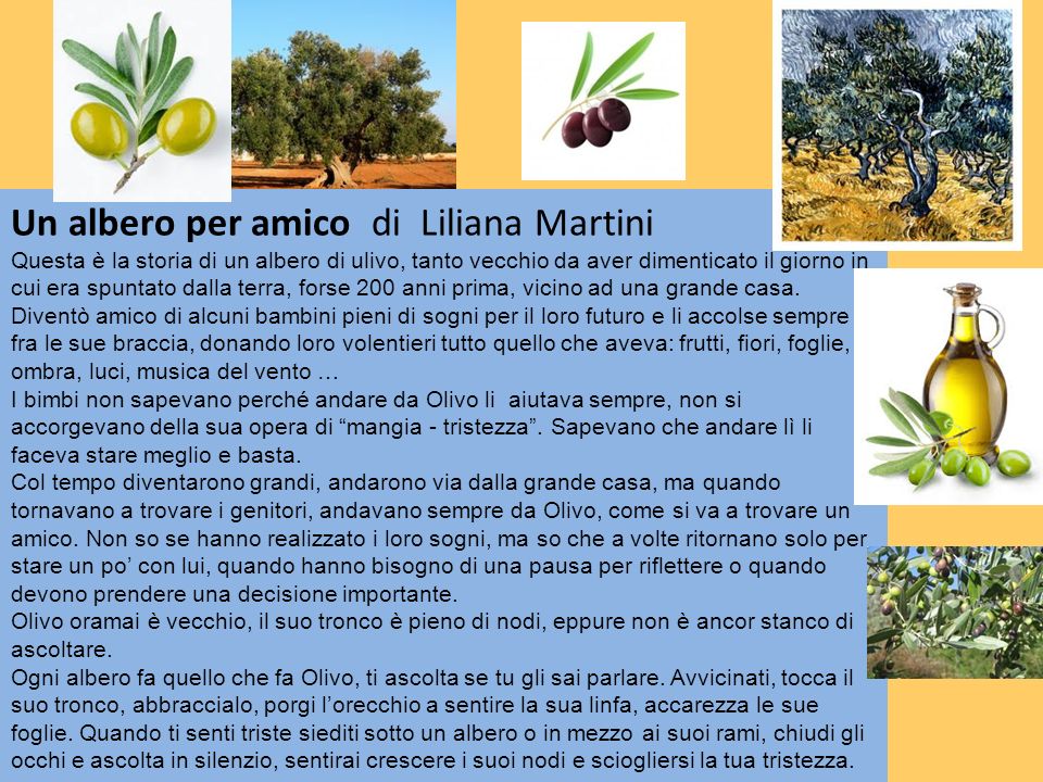 Un albero per amico di Liliana Martini